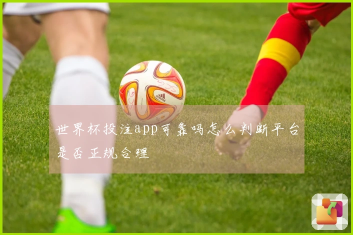 世界杯投注app可靠吗怎么判断平台是否正规合理