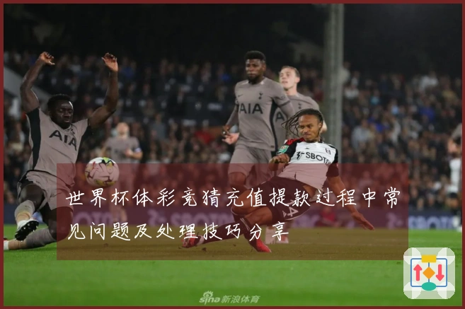 世界杯体彩竞猜充值提款过程中常见问题及处理技巧分享